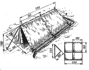 palatka-6.gif (11730 bytes)